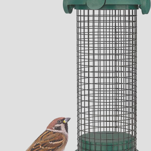 WILDLIFE FRIEND I Outdoor Bird Feeder