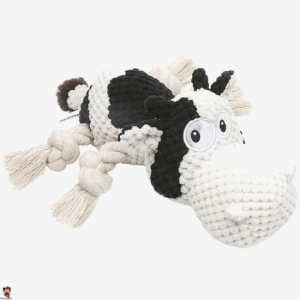 Interactive Squeaky Dog Toy